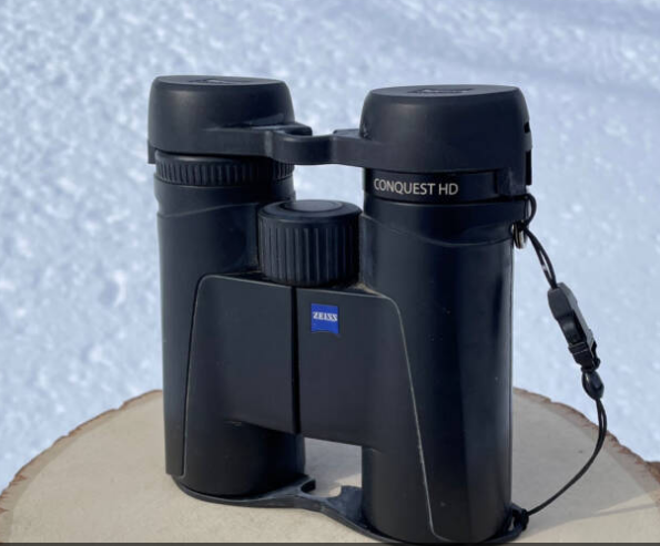 Firearm Optics 101: How to Choose the Right Sight for Accuracy and Performance