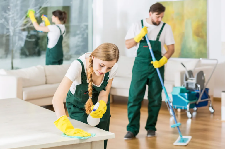 Why Boston Residents Are Switching to Recurring House Cleaning and Pest Control Services