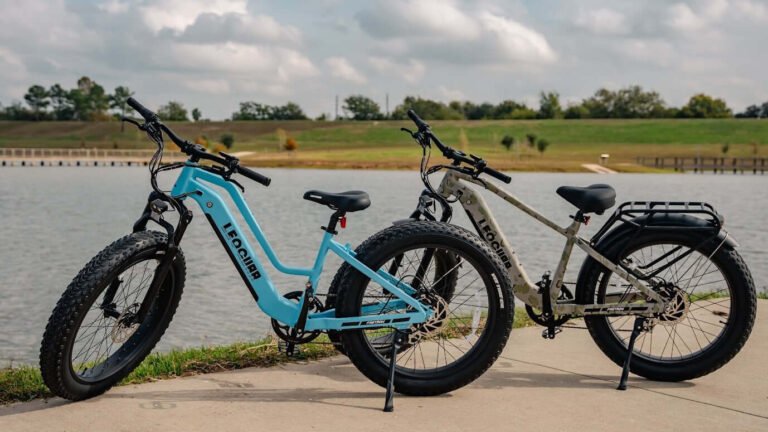 Adult-Friendly Electric Bike Buying Guide