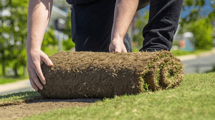 Choosing a Local Turf Supplier in Hervey Bay